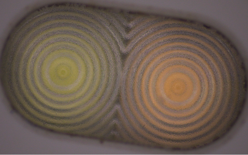 深圳市模具廠-深模-二次元下的手機(jī)閃光燈罩